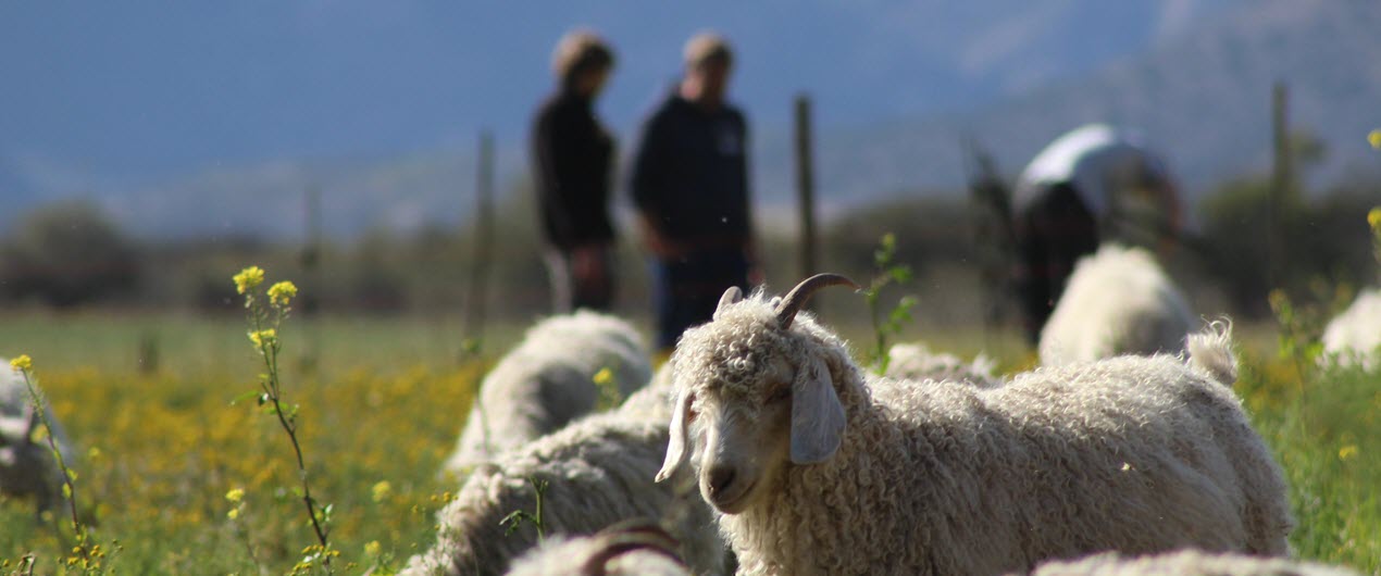 reprendre une exploitation agricole